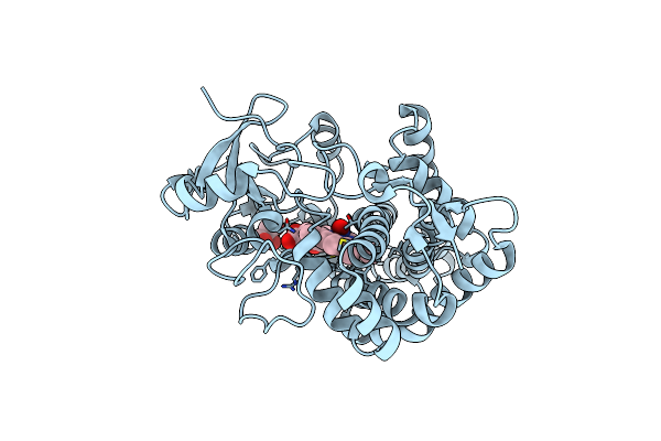 5Y5F image