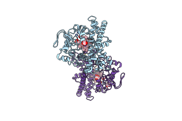 5Y5I image