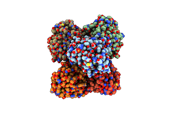 5Y5V image