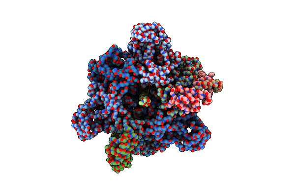 5Y5Z image