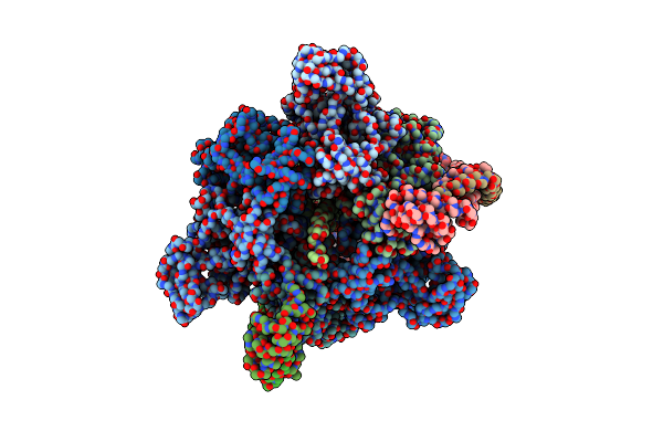 5Y60 image
