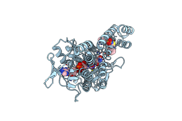 5Y66 image