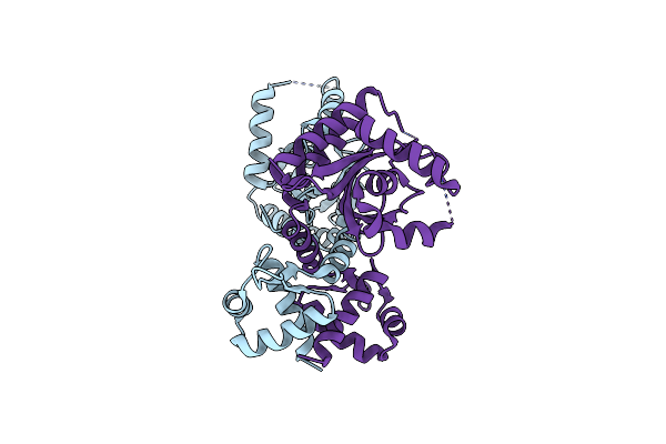 5Y6I image