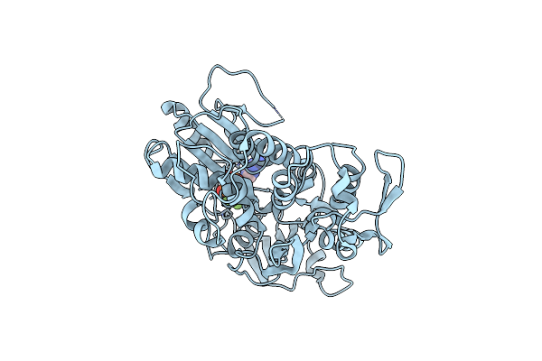5Y6M image