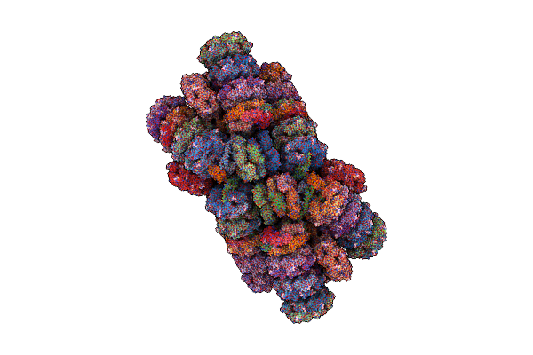 5Y6P image