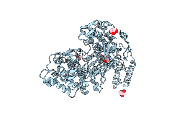 5Y6R image