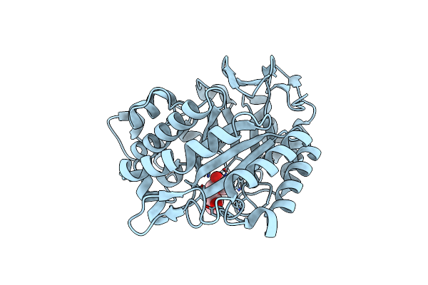 5Y6T image