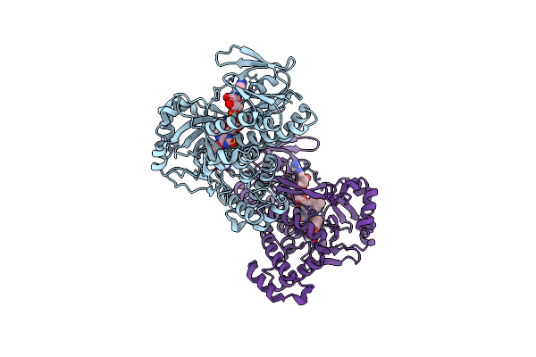 5Y77 image