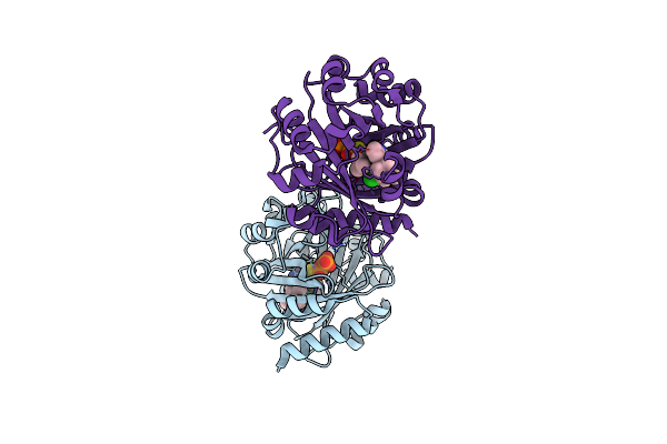 5Y7C image