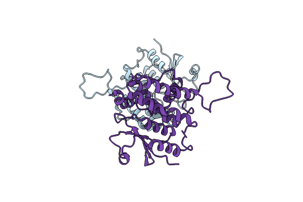 5Y7I image