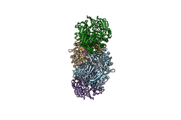 5Y7J image