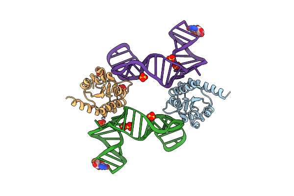 5Y7M image