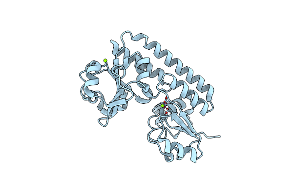 5Y8B image