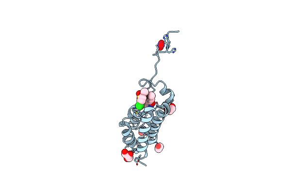 5Y8C image