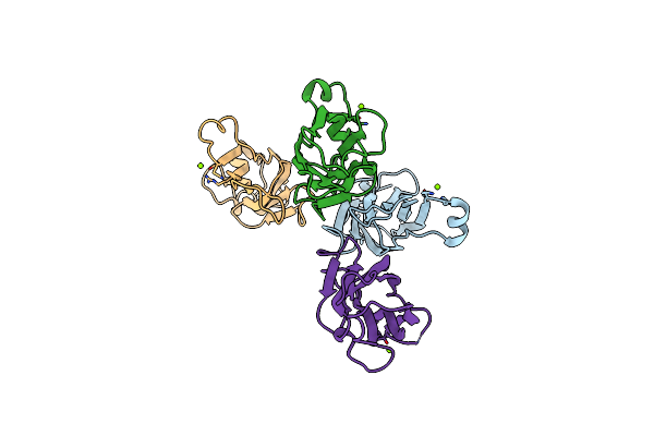 5Y8V image