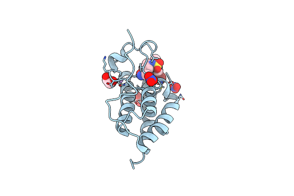 5Y8Z image
