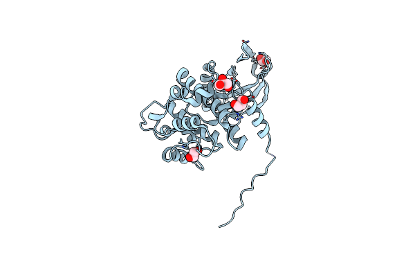 5Y90 image