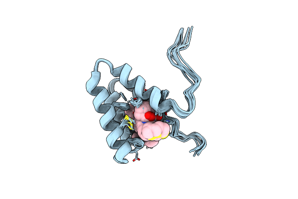 5Y95 image