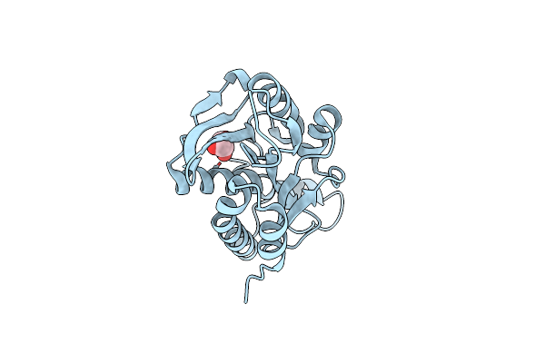 5Y98 image