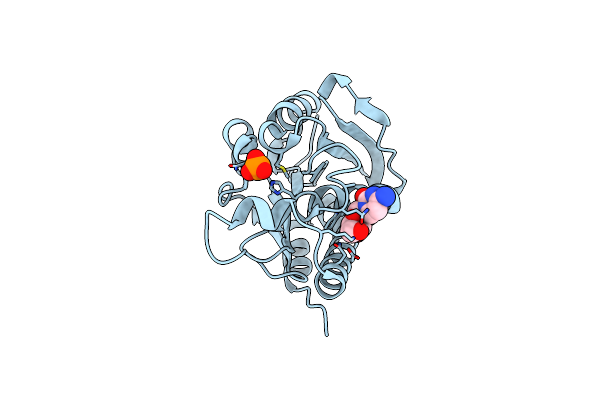 5Y9A image