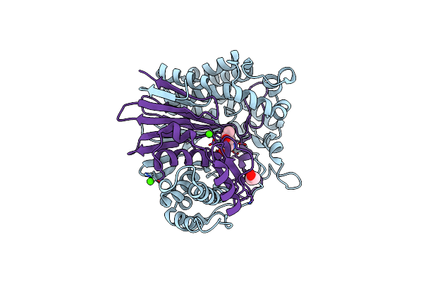 5Y9B image
