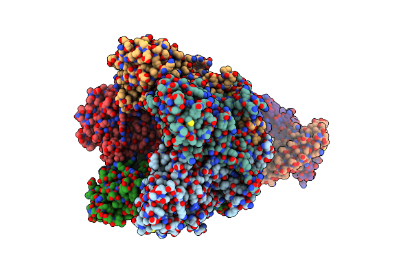 5Y9C image