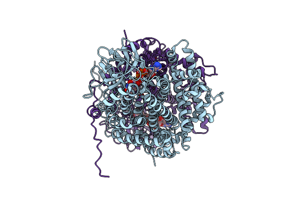 5Y9D image