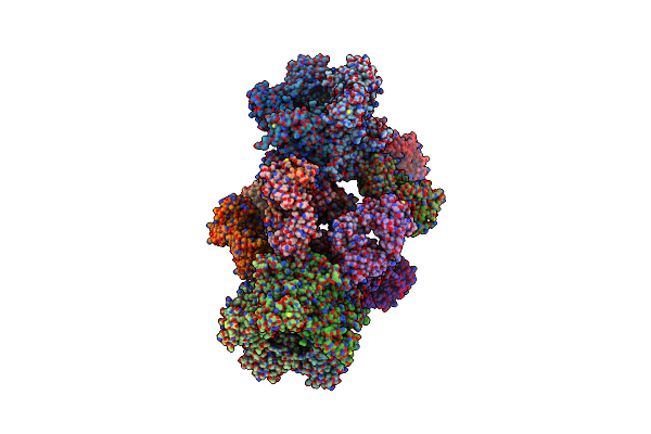 5Y9F image