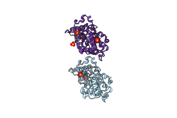 5Y9M image