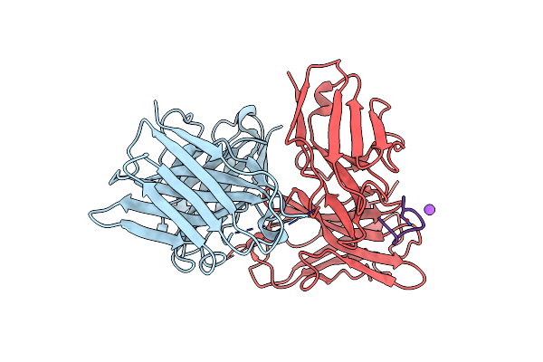 5YAX image