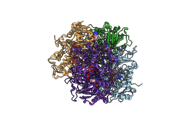 5YB8 image