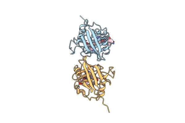 5YBA image