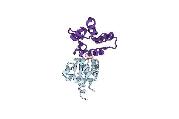 5YBC image