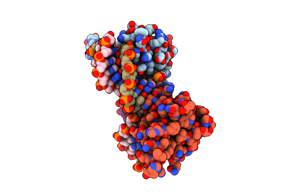 5YBD image