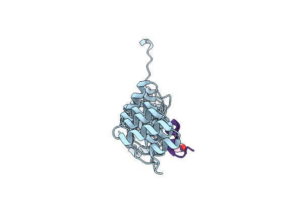 5YBE image
