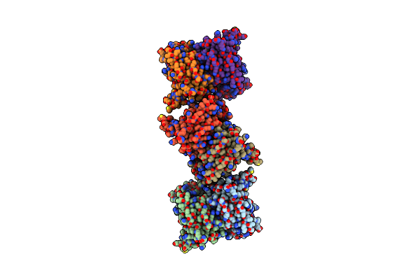 5YBF image