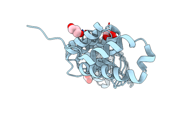 5YBJ image