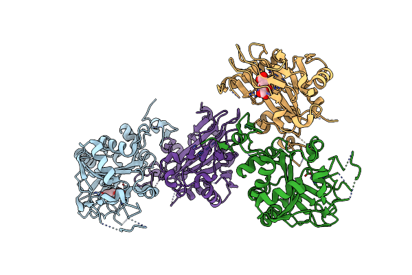 5YBL image