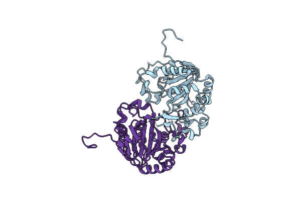 5YBM image