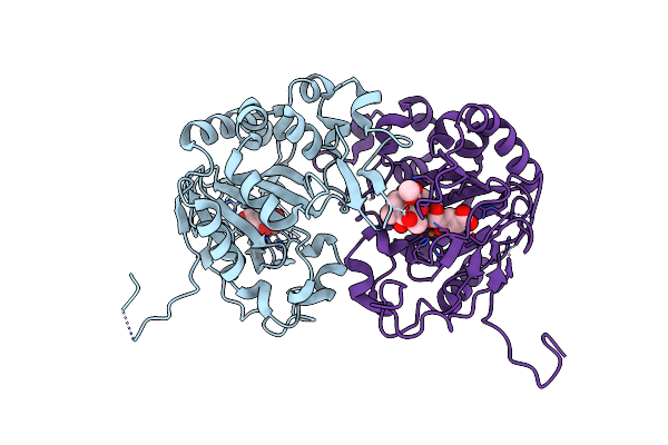 5YBS image