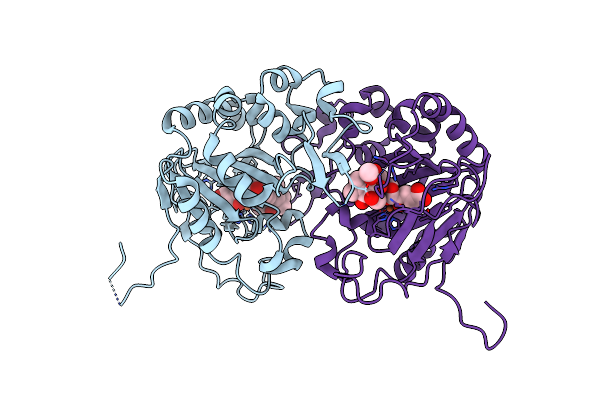 5YBT image