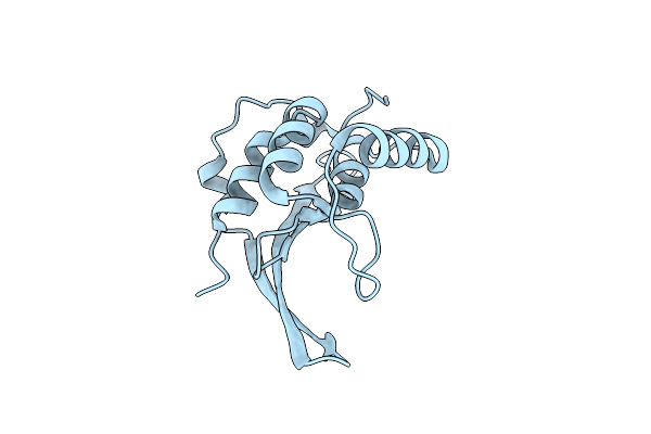 5YBX image