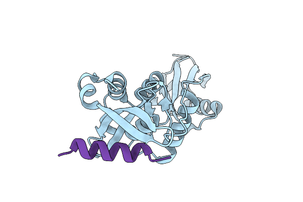 5YCA image