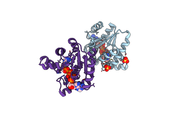 5YCC image