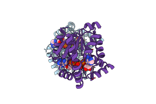 5YCD image