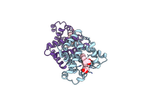 5YCI image