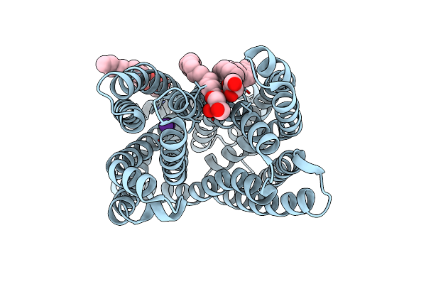 5YCK image