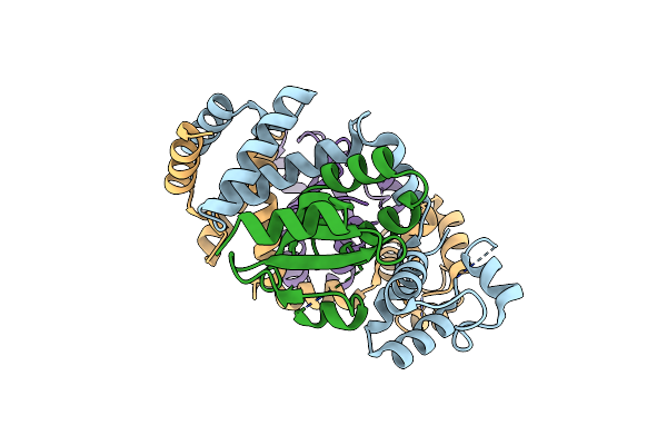 5YCL image