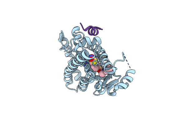 5YCP image