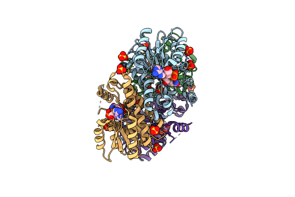 5YCR image